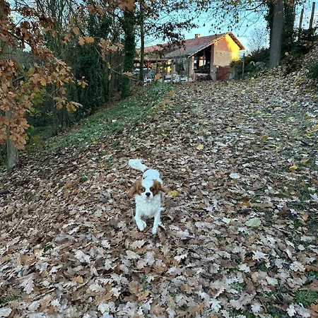 شقة Casale Di Anna