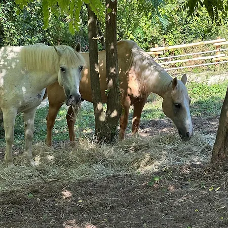 Casale Di Anna *